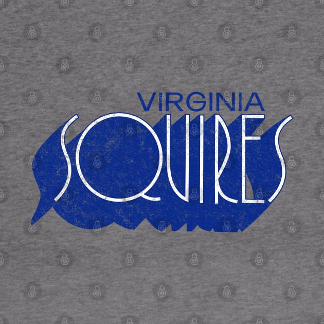 Defunct Virginia Squires ABA Basketball by LocalZonly